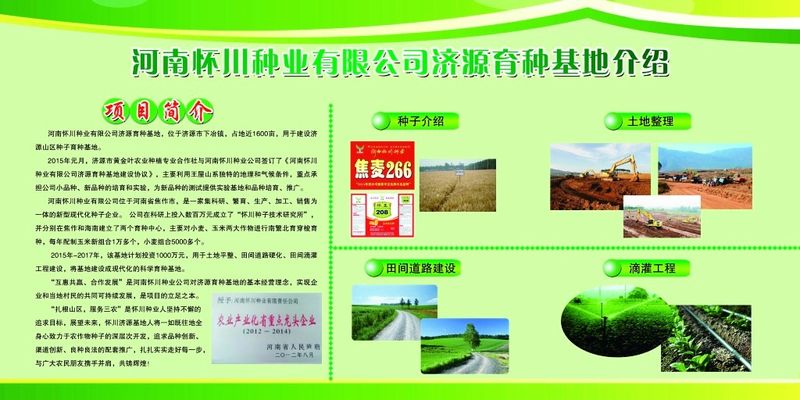 青春为毛乌素沙地增添绿色